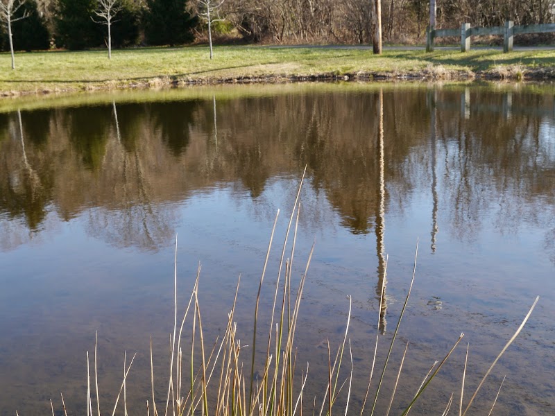 Unity Park photo 4