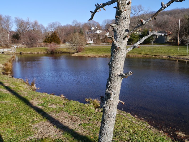 Unity Park photo 5