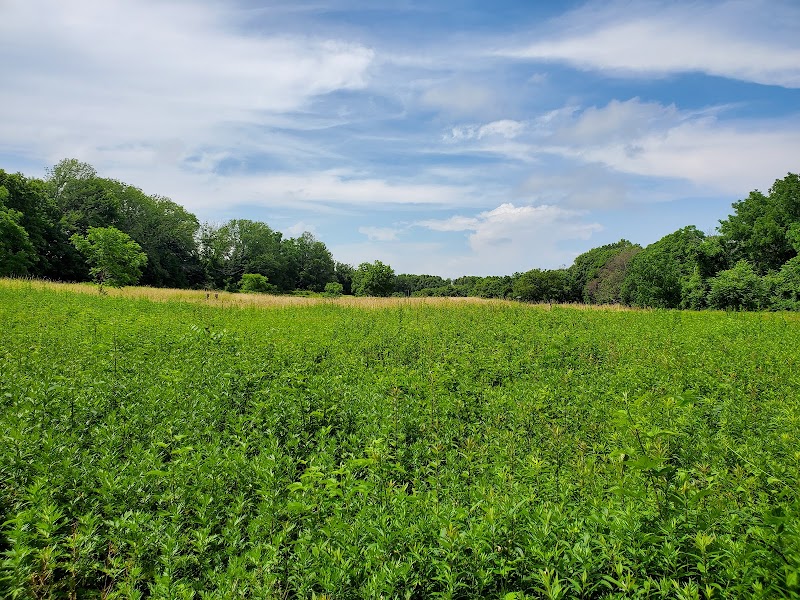 Uplands Farm Sanctuary photo 2