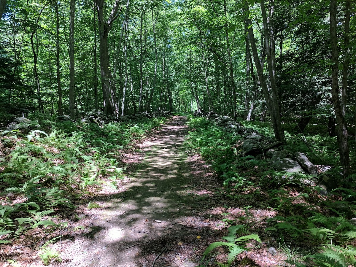 Upper Paugussett State Forest photo 2