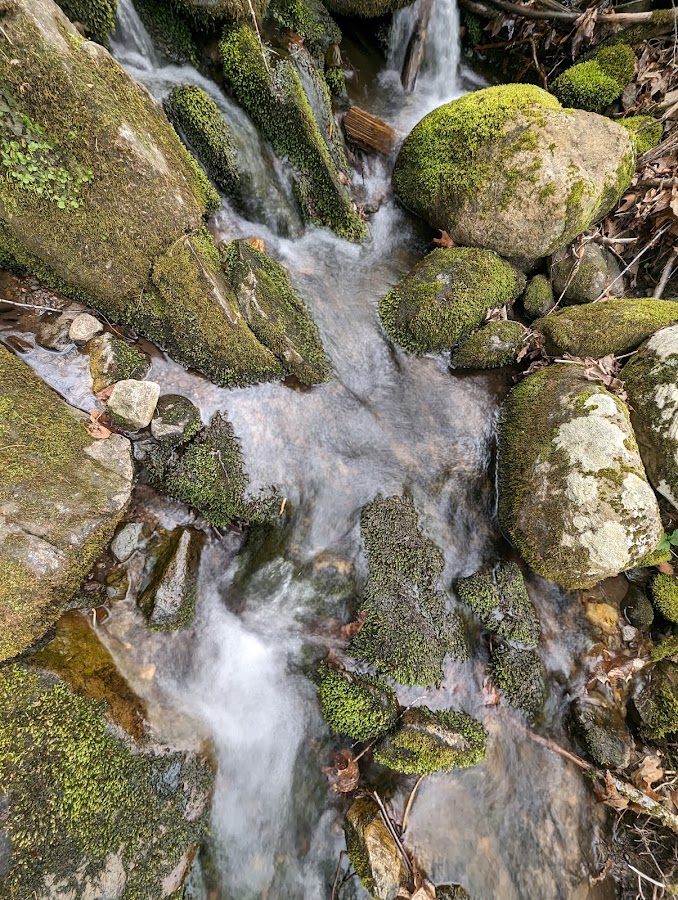 Upper Paugussett State Forest photo 3