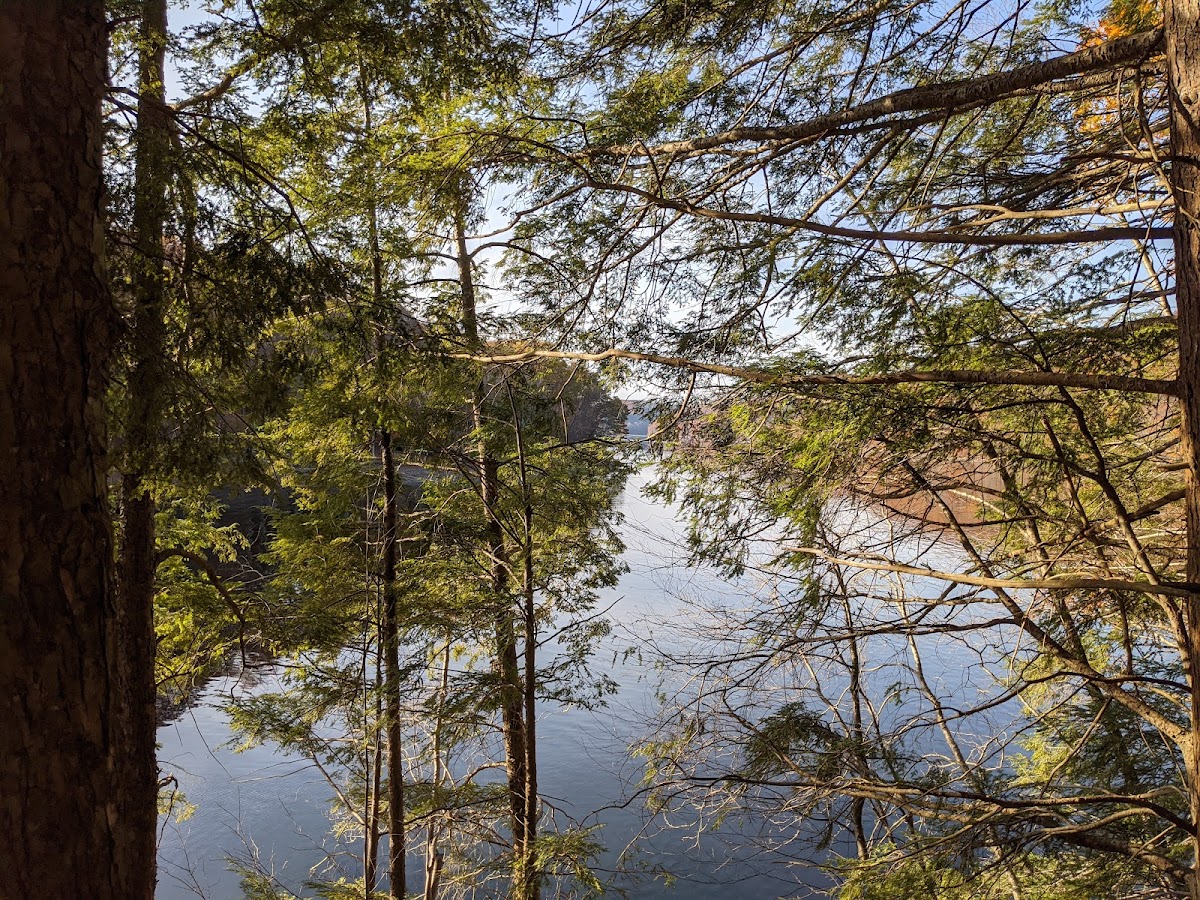 Upper Paugussett State Forest photo 4