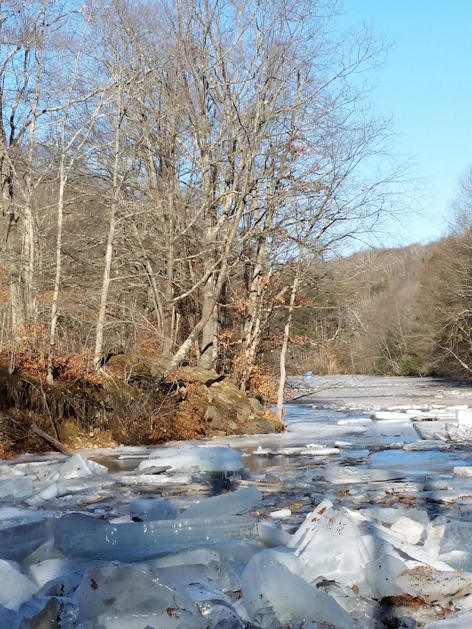 Upper Paugussett State Forest photo 5