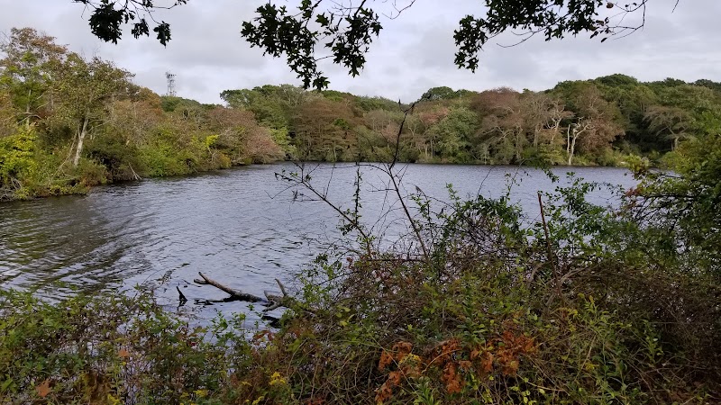 U.S. Fish & Wildlife Services photo 3