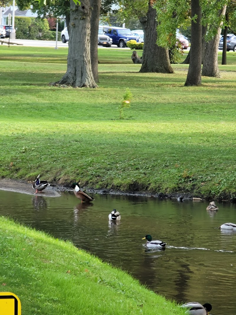 Valley Stream Dog Park (Member Only) photo 3