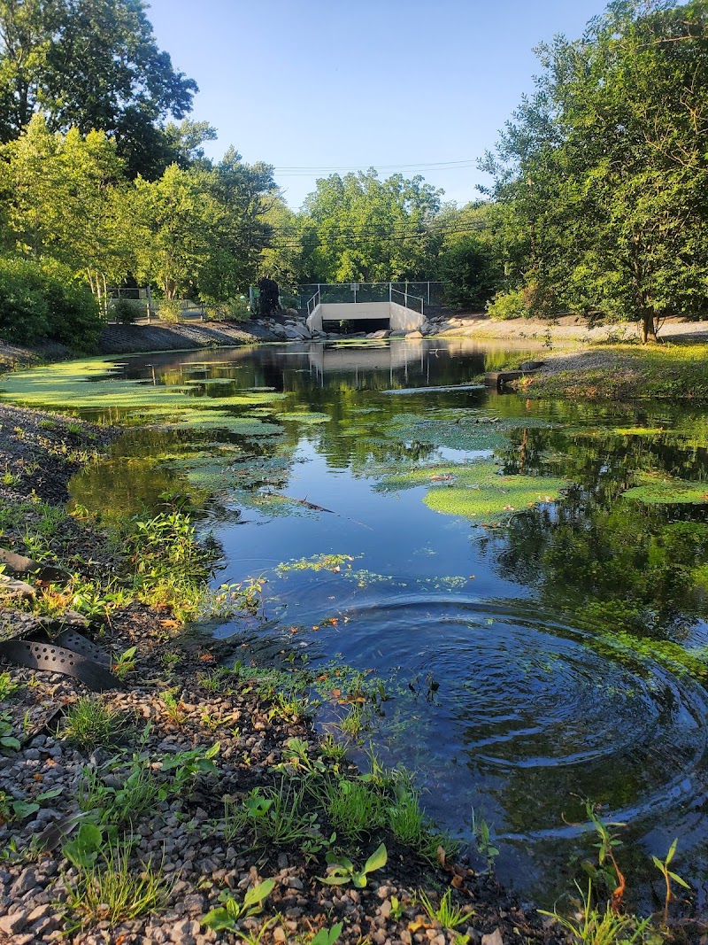Valley Stream State Park photo 4