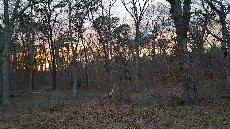 Veterans Memorial Park photo 4
