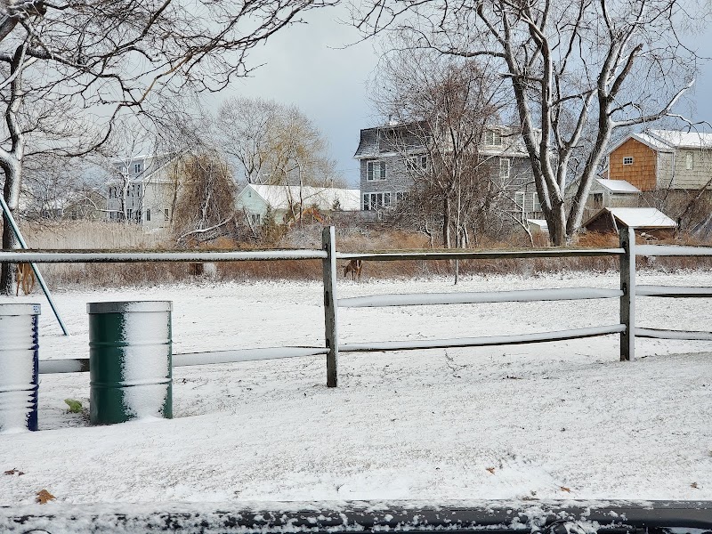Veterans Park photo 4
