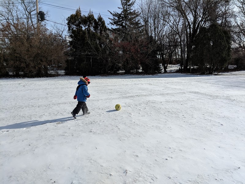 Veterans Park photo 5