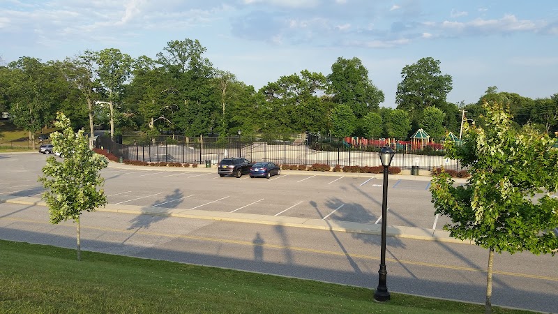 Veterans Park Skate Park photo 3