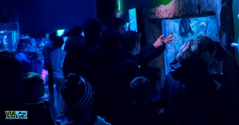 VIA Aquarium photo 1