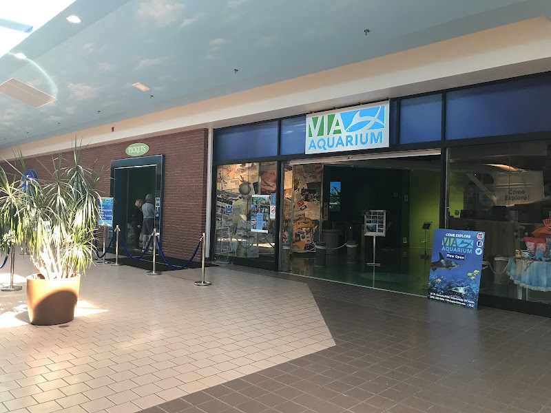 VIA Aquarium photo 2