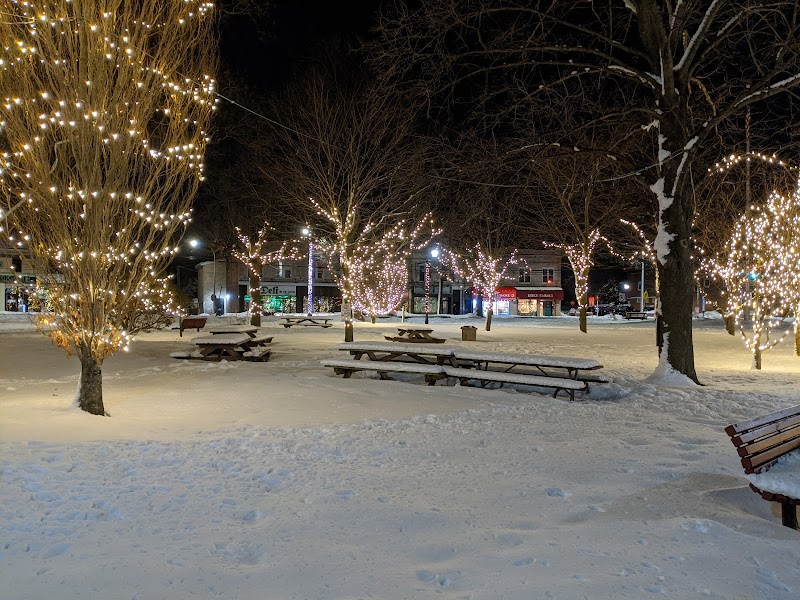 Village Green Park photo 3