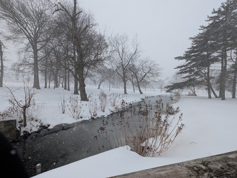 Village Green Park photo 3