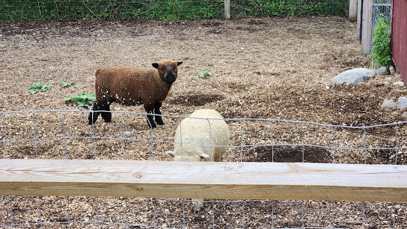 Wakeman Town Farm photo 2