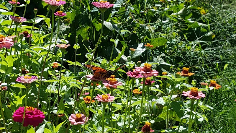 Wakeman Town Farm photo 3