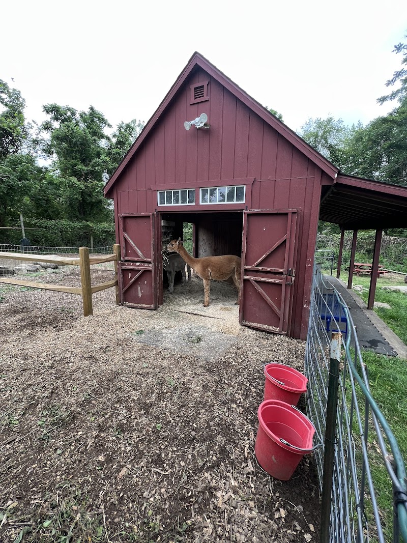 Wakeman Town Farm photo 4