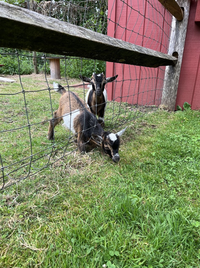 Wakeman Town Farm photo 5