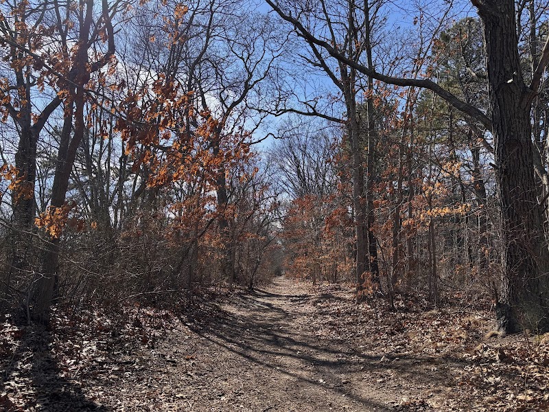 Walter S. Commerdinger, Jr. County Park photo 3