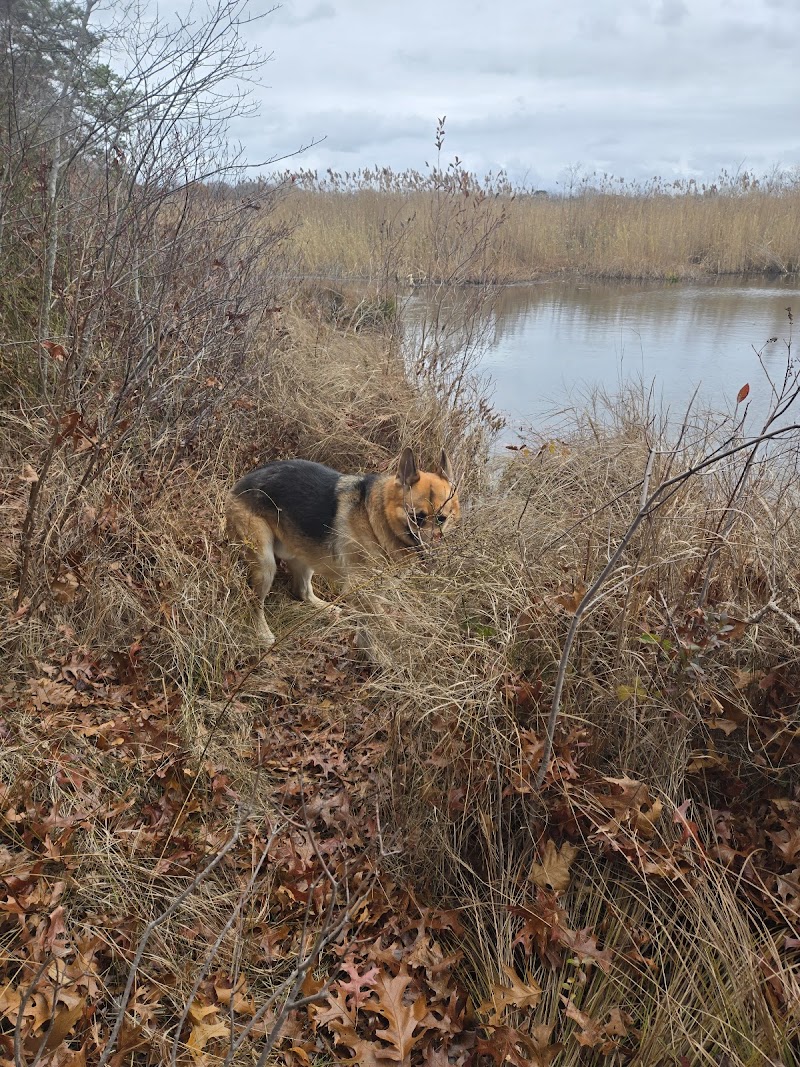 Walter S. Commerdinger, Jr. County Park photo 4