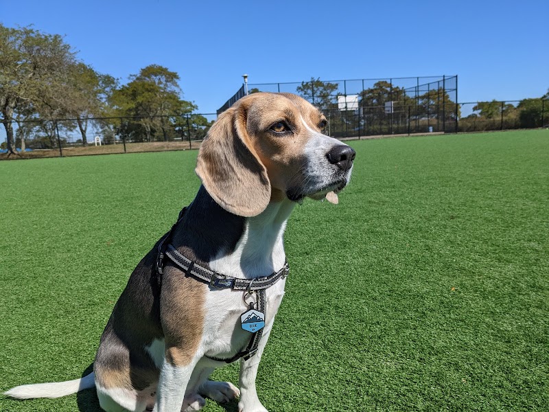 Wantagh Park Dog Run photo 3