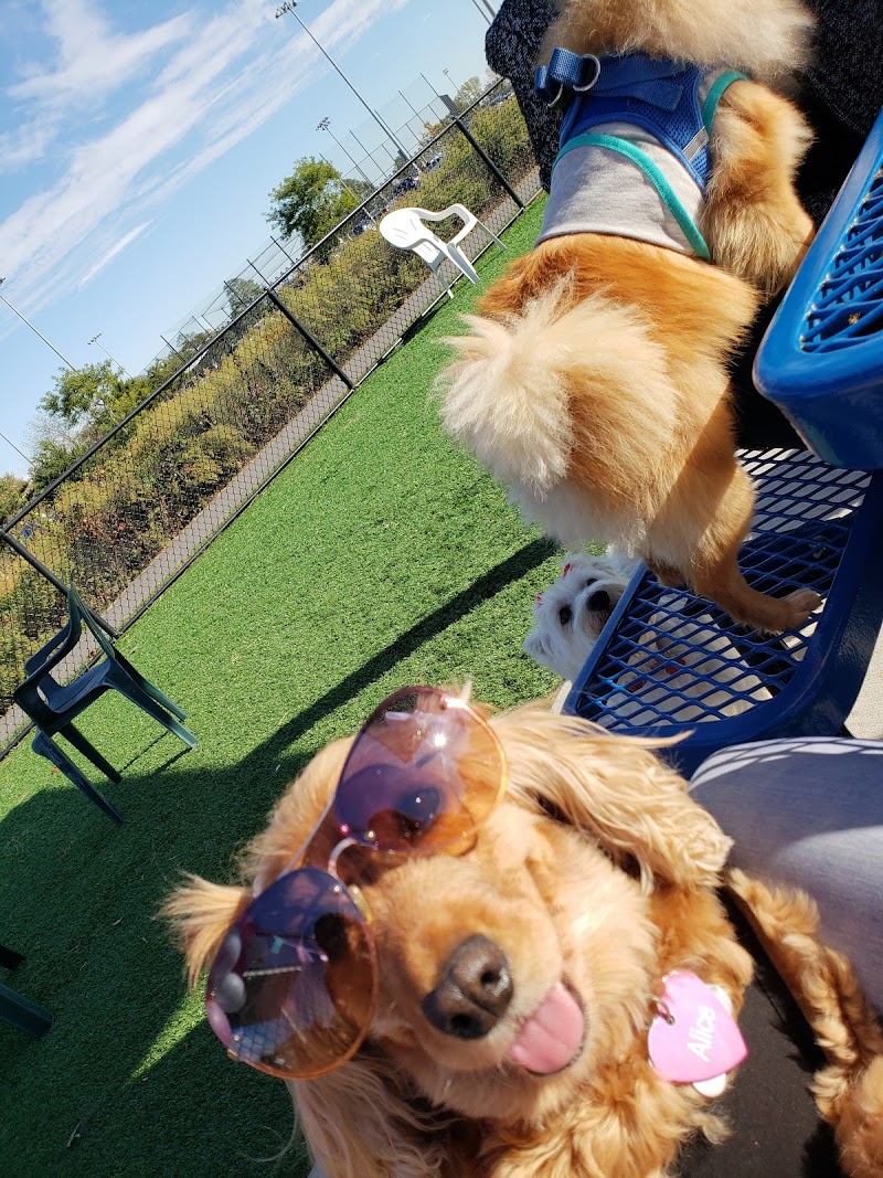 Wantagh Park Dog Run photo 4