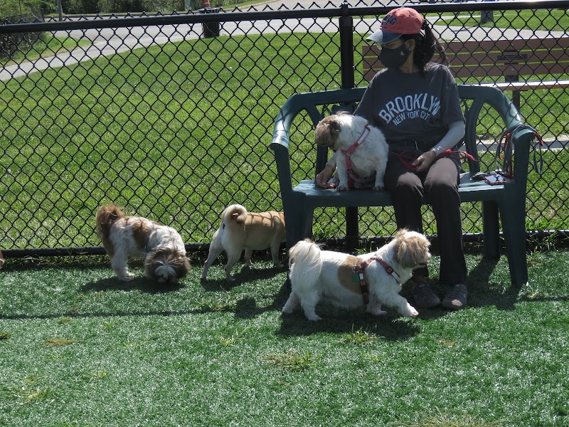 Wantagh Park Dog Run photo 5