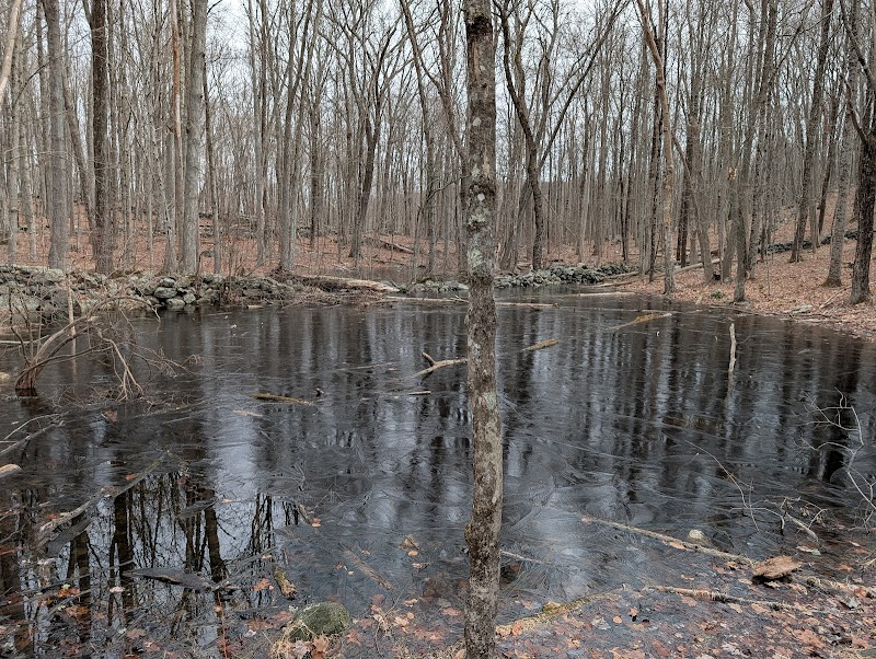 Ward Pound Ridge Reservation photo 2