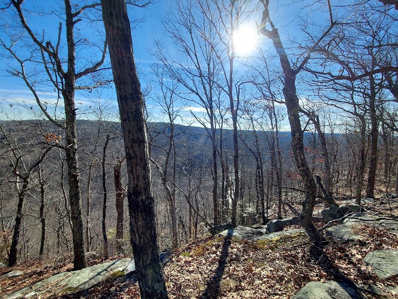 Ward Pound Ridge Reservation photo 3