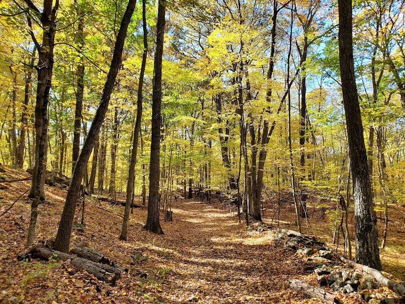Ward Pound Ridge Reservation photo 4