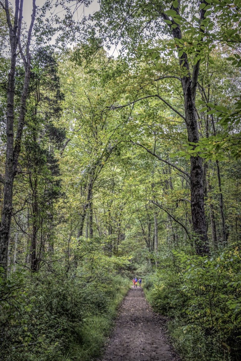 Ward Pound Ridge Reservation photo 5