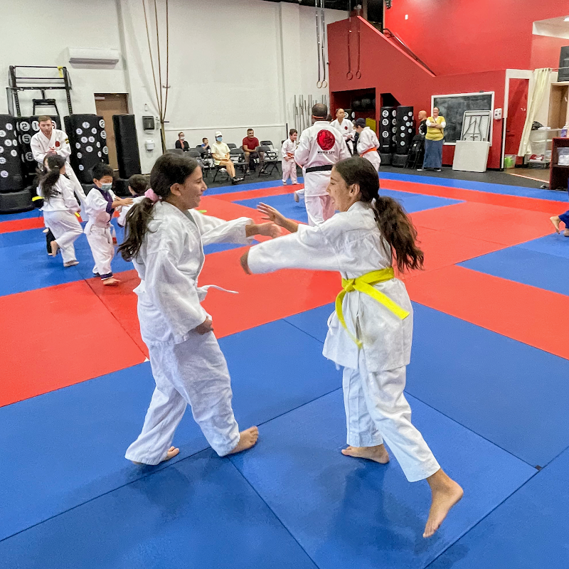 Warren Levi Championship Martial Arts photo 3