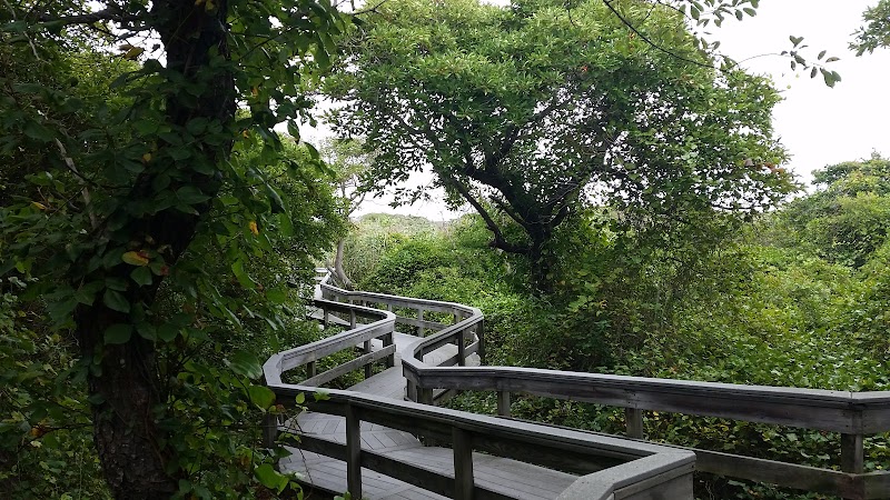 Watch Hill Fire Island Campground & Safari Tent Glamping photo 5