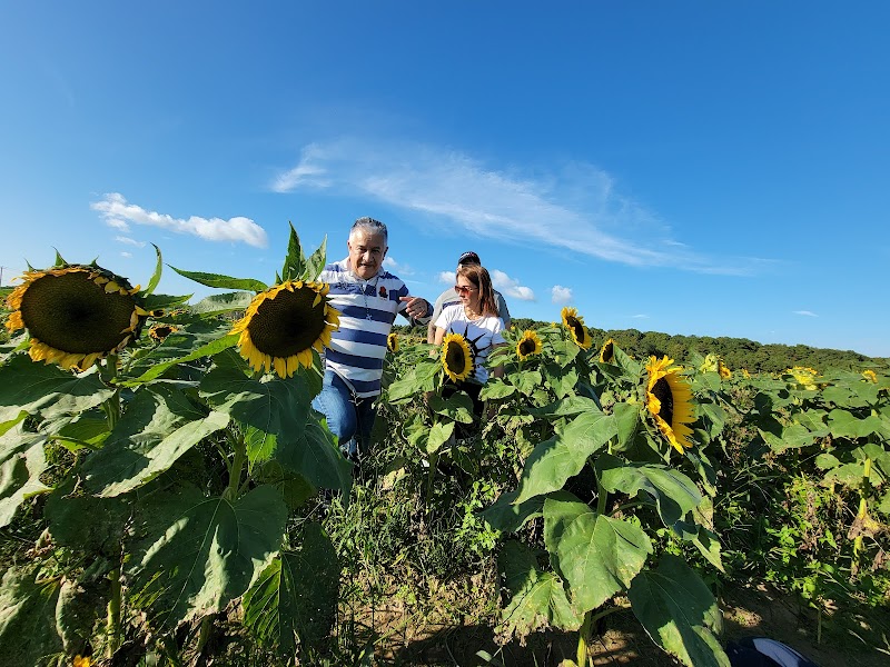 Waterdrinker Family Farm & Garden photo 2