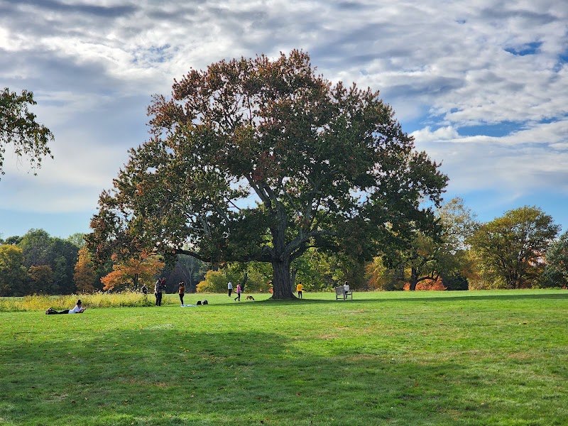 Waveny Park photo 3