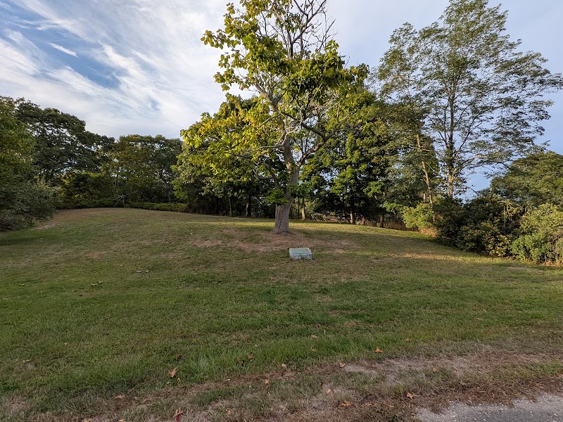 Wayside Picnic Park photo 2