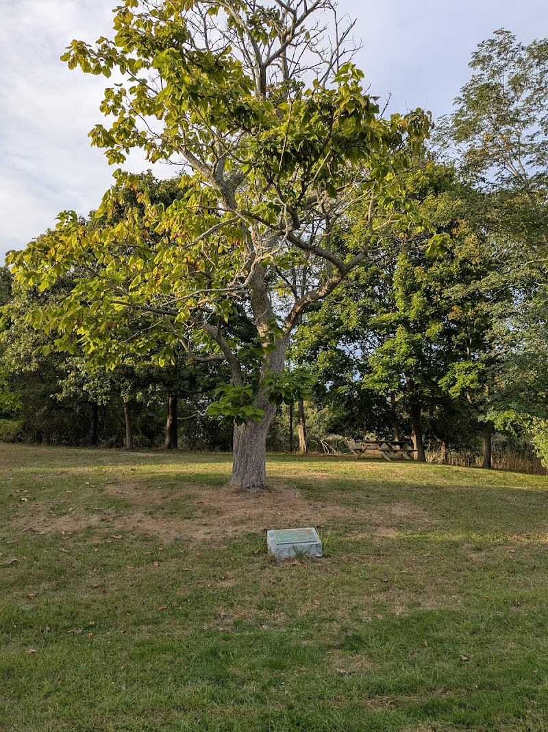 Wayside Picnic Park photo 3