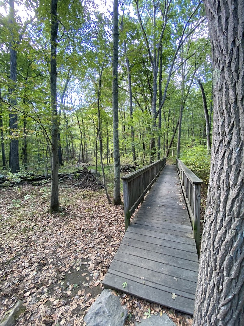 Webb Mountain Discovery Zone photo 2