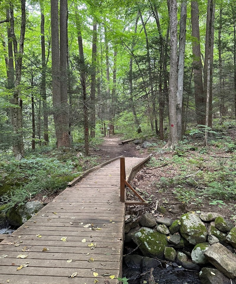 Webb Mountain Park photo 2