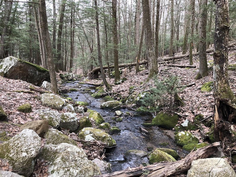 Webb Mountain Park photo 5