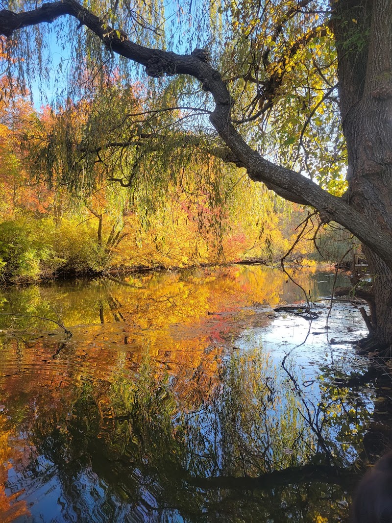 Weeping Willow Park photo 1