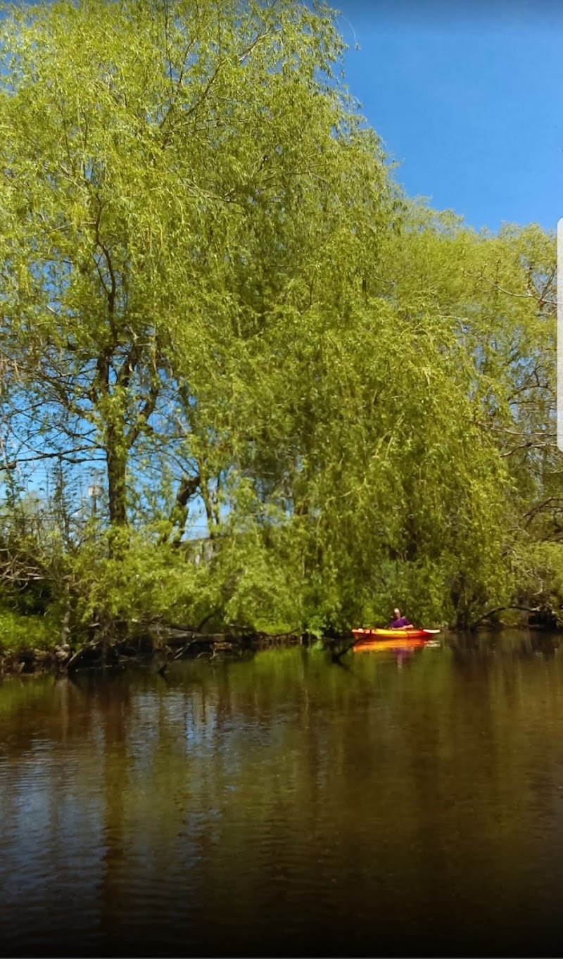 Weeping Willow Park photo 2