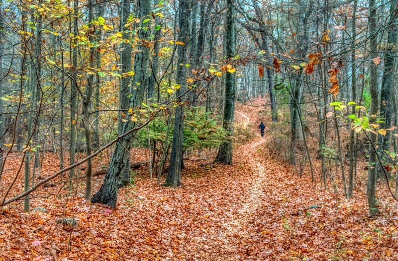 Weinberg Nature Center photo 4