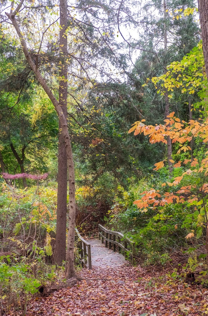 Weinberg Nature Center photo 5