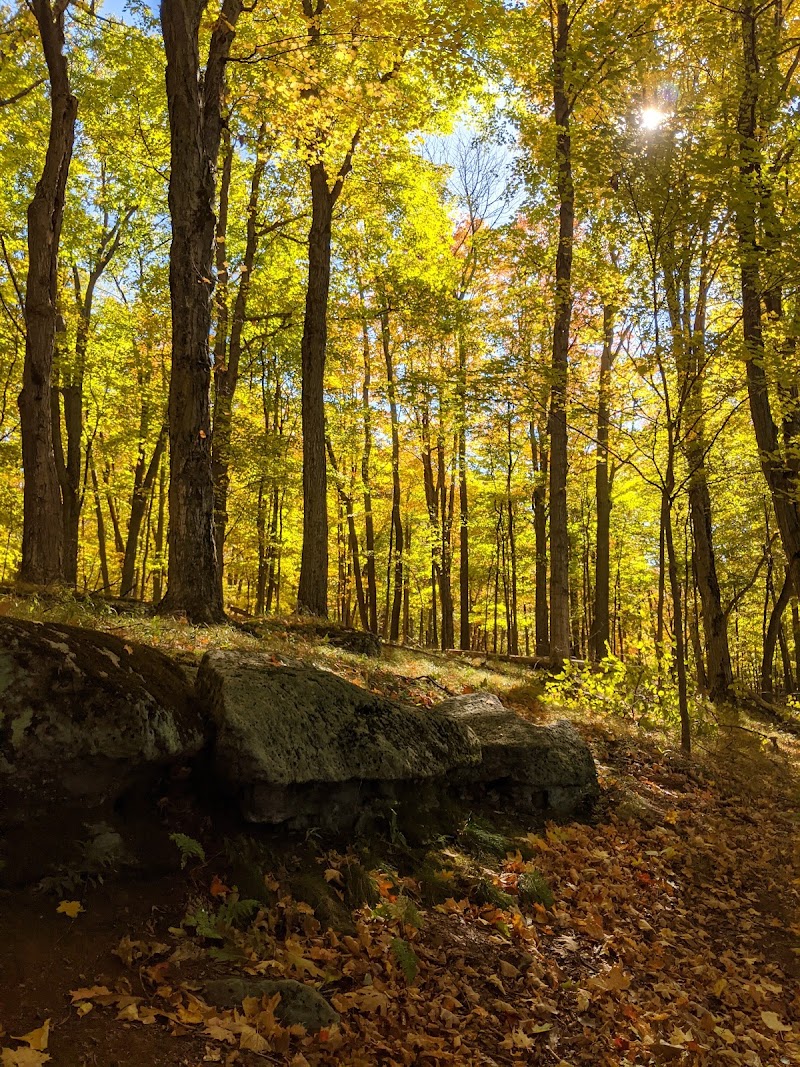 Wellesley Island State Park photo 4