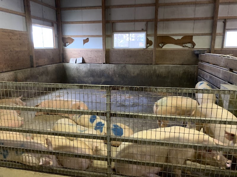 Wells Farm of Long Island photo 3