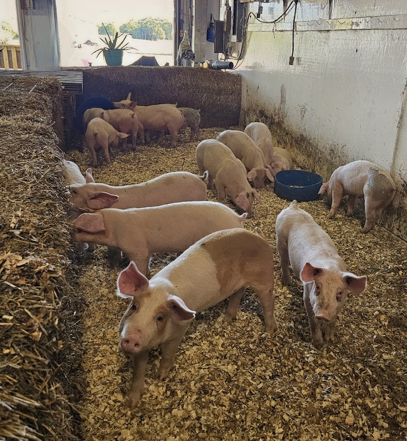 Wells Farm of Long Island photo 4