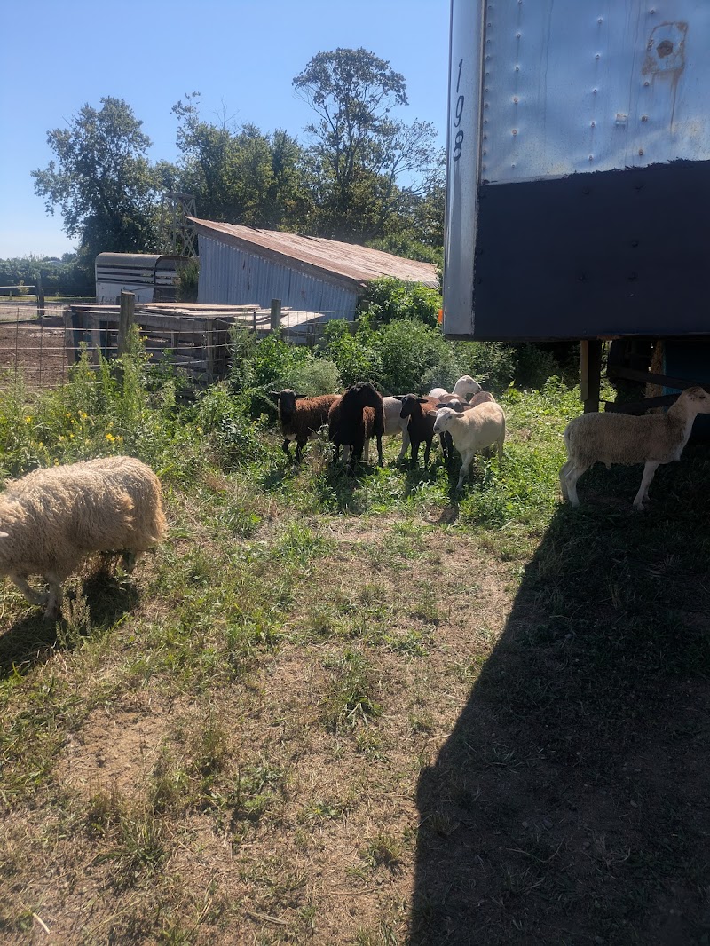 Wells Farm of Long Island photo 5