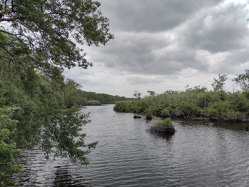 Wertheim National Wildlife Refuge photo 1