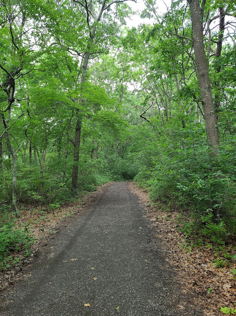 Wertheim National Wildlife Refuge photo 3